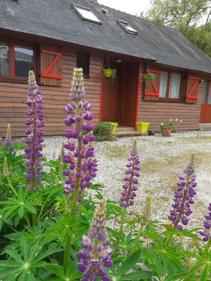 Chez Christine Bed and Breakfast Noyal-Pontivy Buitenkant foto